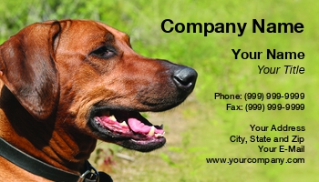 Featured Designs |--| Africa | African Animal | At38895 | Breed | Dog | Emilia Kun | Hound | Native | Rhodesian | Ridgeback | South