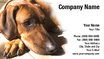 Animals | Featured Designs | Veterinarian |--| Africa | African Animal | At38896 | Breed | Dog | Emilia Kun | Hound | Native | Rhodesian | Ridgeback | South