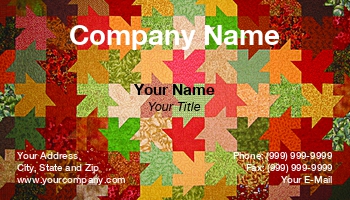 Featured Designs |--| At39207 | Colorful | Emilia Kun | Fabric | Fabrics | Interlocking | Inticate | Leaf | Pachwork | Patchwork | Pattern | Pieced | Quilt | Quilted | Used