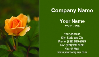 Featured Designs |--| At39901 | Austin | Beautiful | Bloom | Cindy Haggerty | Dallas | Fort Worth | Houston | Lone | Rose | San Antonio | Starting | Yellow | Yellow Rose Of Texas