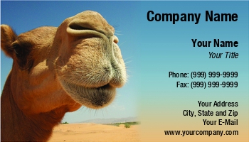 Desert | Featured Designs | Nature | Photographer | Professional | Travel |--| Agencies | Agency | Agent | Animal | Arabic | At303121 | Camel | Closeup | Culture | Leonid Eremeychuk | Mammal | National | Park | Photography | Portrait | Template | Tourism | Transport | Unique | Wildlife | Zoo | Zoology | Zoos