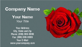 Delivery | Featured Designs | Transportation |--| Amp | Arrangement | Arranger | At306065 | Bouquet | Celebration | Dealer | Decoration | Designer | Distributor | Florist | Flower | Flower Bouquet | Gardening | Gift | Inna | Natural | Nursery | Online | Ordering | Petal | Season | Shop | Silk | Specializes | Supplier | Used