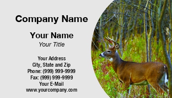 Featured Designs | Photographer | Professional | Wild |--| Animal | Antler | Apt | At309629 | Bruce Macqueen | Buck | Deer | Deer Hunting | Involved | Mammal | Photography | Whitetail | Whitetail Deer | Wild Animal | Wildanimal | Wildlife | Zoo | Zoologist | Zoology