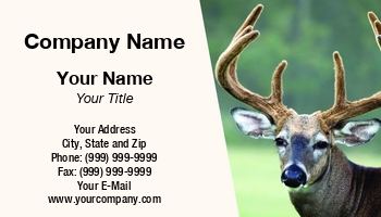 Featured Designs | Photographer | Professional | Wild |--| Animal | Antler | At309632 | Bruce Macqueen | Buck | Deer | Deer Hunting | Fit | Involved | Mammal | Photography | Whitetail | Whitetail Deer | Wild Animal | Wildanimal | Wildlife | Zoo | Zoologist | Zoology