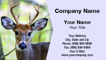 Featured Designs | Photographer | Professional | Wild |--| Animal | Antler | At309633 | Bruce Macqueen | Buck | Deer | Deer Hunting | Mammal | Option | Photography | Whitetail | Whitetail Deer | Wild Animal | Wildanimal | Wildlife | Zoo | Zoologist | Zoology