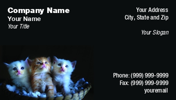 Animals | Featured Designs |--| Animal | Animal Dealer | At310034 | Beautiful | Business | Card | Cat | Cat Animal | Domestic Animal | Kitten | Mammal | Pet | Pet Care | Pet Shop | Quang | Shop | Template | Veterinary Technician | Wildlife