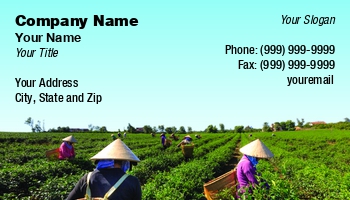 Featured Designs | Food | Hospitality |--| Agricultural | Agricultural Product | Agricultural Worker | Agriculture | At310171 | Cultivate | Cultivation | Farmer | Farming | Healthy | Herbal | Medicine | Perfect | Plant | Quang | Template | Tour Escort