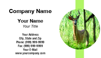 Featured Designs | Photographer | Professional | Wild |--| Animal | Antler | Apt | At312230 | Bruce Macqueen | Deer | Deer Hunting | Mammal | Photography | Template | Whitetail | Whitetail Deer | Wild Animal | Wildanimal | Wildlife | Zoo | Zoologist | Zoology