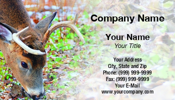 Featured Designs | Wild |--| Animal | Animal Dealer | Antler | At313656 | Bruce Macqueen | Choice | Deer | Deer Hunting | Mammal | Photography | Whitetail | Whitetail Deer | Wild Animal | Wildanimal | Wildlife | Zoo | Zoologist | Zoology