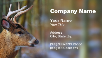 Featured Designs | Wild |--| Animal | Animal Broker | Animal Dealer | Antler | At313657 | Bruce Macqueen | Deer | Deer Hunting | Elegant | Mammal | Photography | Template | Used | Whitetail | Whitetail Deer | Wild Animal | Wildanimal | Wildlife | Zoo | Zoologist | Zoology