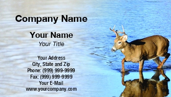Featured Designs | Photographer | Professional | Wild |--| Animal | Antler | Apt | At313703 | Bruce Macqueen | Deer | Deer Buck | Deer Hunting | Mammal | Photography | Template | Whitetail | Whitetail Deer | Wild Animal | Wildanimal | Wildlife | Zoo | Zoologist | Zoology