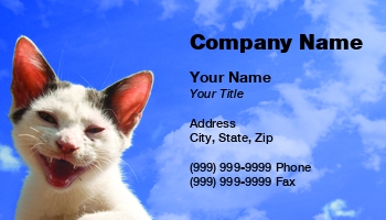Featured Designs |--| Animal | Animal Care | At313864 | Care | Domestic Animal | Domestic Cat | Ivonne Wierink | Kitten | Kitty | Mammal | Mobile Pet Grooming | Option | Pet | Pet Grooming | Pet Shop | Shop | Veterinary