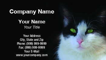 Featured Designs |--| Animal | Animal Care | At313990 | Care | Domestic Animal | Domestic Cat | Kitten | Kitty | Mammal | Mobile Pet Grooming | Option | Perry Correll | Pet | Pet Grooming | Pet Shop | Shop | Veterinary