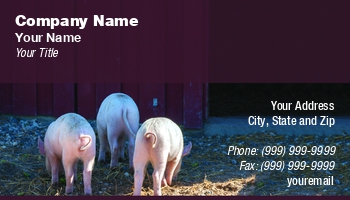 Farm | Featured Designs |--| Animal | Animal Dealer | At314070 | Beautiful | Business | Card | Farming | Hog Farming | Kasper Nymann | Livestock | Mammal | Pet | Pig | Pig Farm | Pig Farming | Piglet | Swine | Template