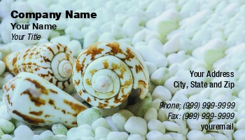 Creative | Featured Designs |--| Animal | Art | Artist | At314071 | Business | Card | Decor | Decorating | Decoration | Decorative | Decorator | Design | Sea | Sea Shell | Seashell | Shell | Template | Tomas Pavlasek