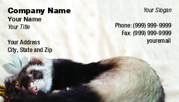 Featured Designs |--| Animal | Animal Care | At314841 | Care | David Spidlen | Domestic Animal | Ferret | Option | Pet | Pet Care | Pet Funeral | Pet Grooming | Pet Shop | Pet Supplies | Shop | Veterinary | Veterinary Assistant