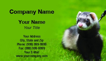 Animals | Domestic | Featured Designs |--| Animal | Animal Care | At315549 | Care | David Spidlen | Domestic Animal | Ferret | Option | Pet | Pet Grooming | Pet Shop | Pet Supplies | Shop | Veterinary | Veterinary Assistant