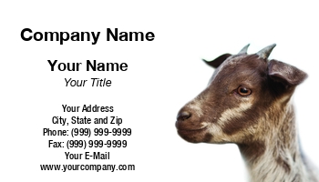 Featured Designs |--| Agriculture | Animal | Animal Breeder | At316821 | Cattle | Cattle Farmer | Cattle Farming | Dealing | Farmers | Farming | Great | Involved | Lamb | Livestock | Mona Makela | Sheep | Template