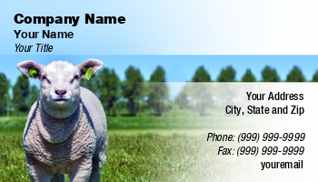 Featured Designs |--| Agriculture | Animal | Animal Breeder | Animal Dealer | At317672 | Cattle | Cattle Farmer | Cattle Farming | Chris Willemsen | Dealing | Farmers | Farming | Involved | Lamb | Livestock | Mammal | Sheep | Sheepskin Specialties | Simple | Template