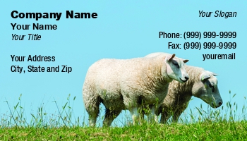 Featured Designs |--| Agriculture | Animal | Animal Breeder | Animal Broker | Animal Dealer | At317677 | Cattle | Cattle Farmer | Cattle Farming | Chris Willemsen | Dealing | Farmers | Farming | Great | Involved | Lamb | Livestock | Mammal | Sheep | Sheepskin Specialties | Template