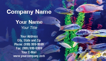 Featured Designs | Fishing | Trades |--| Aquarium | Aquarium Maintenance | At317725 | Decor | Decorative | Fish | Fish Breeding | Fish Farm | Fish Farming | Fish Hatchery | Fish Tank | Perfect | Shi Yali | Template | Tropical Fish Servicing