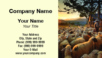 Featured Designs |--| Animal | Animal Breeder | At310819 | Cattle | Cattle Farmer | Cattle Farming | Farming | Lamb | Livestock | Quang | Sheep | Sheepskin Specialties