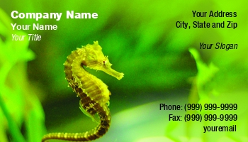 Aquatic | Featured Designs |--| Aquarium | Aquarium Fishes | Aquarium Maintenance | At318677 | Business | Dealing | Fairy Girl Cards | Fish | Fish Breeding | Fish Farm | Fish Farming | Fish Hatchery | Great | Sea Horse | Template | Tropical Fish Servicing