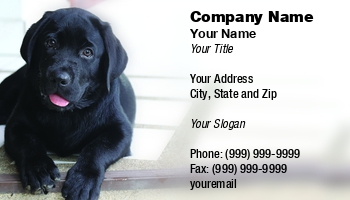 Featured Designs |--| Animal | Animal Dealer | Animal Registration | Animal Trainer | At318935 | Care | Center | Charnsit Ramyarupa | Day Care | Dog | Dog Day Care | Dog Sitter | Dog Sitting | Hospital | Perfect | Pet | Pet Boarding | Pet Care | Pet Supplies | Template | Veterinary