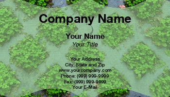 Featured Designs |--| Agricultural | Agriculture | Alexander Gold | At322015 | Cultivation | Culture | Elegant | Farmers | Garden Greenhouse | Gardener | Glass House | Green House | Greenhouse | Greenhouse Farming | Horticulture | Horticulturist | Template