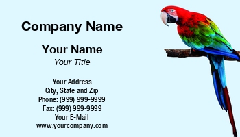 Featured Designs |--| At323529 | Avian | Aviary | Bird | Bird Conservation | Bird Watcher | Bird Watching | Birdwatching | Chrysolophus | Pet Birds | Pet Shop | Sanctuary | Used | Valentin Valkov