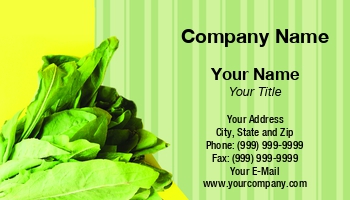 Featured Designs |--| Aroma | Arugula | At320528 | Business | Healthy | Herbal | Ingredient | Leaves | Medicinal | Medicine | Nicolas Menijes | Option | Organic | Vegetarian