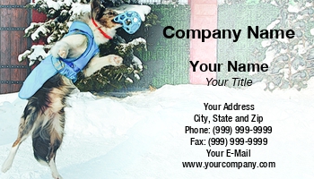 Featured Designs |--| Animal Broker | Animal Dealer | Animal Trainer | At325415 | Day Care | Dog | Dog Day Care | Dog Sitter | Dog Sitting | Dog Trainer | Dog Training | Fit | Groomer | Pet | Pet Boarding | Pet Care | Pet Supplies | Pets | Trainer | Yerchak
