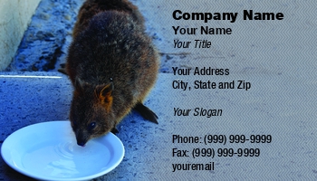 Featured Designs | Professional | Sales |--| Animal | Animal Trainer | At325975 | Dog | Domestic Animal | Fit | Fritz Hiersche | Pet | Pet Boarding | Pet Food | Pet Sitter | Pet Sitting | Pet Supplies | Quokka  Care | Shop
