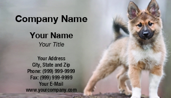 Animals | Domestic | Featured Designs |--| Animal | Animal Trainer | At326988 | Beautiful | Business | Card | Dog | Domestic Animal | Mikkel Bigandt | Pet | Pet Boarding | Pet Care | Pet Food | Pet Sitter | Pet Sitting | Pet Supplies | Puppy | Template