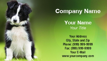 Featured Designs | Professional | Sales |--| Animal | Animal Trainer | At326989 | Dog | Domestic Animal | Mikkel Bigandt | Pet | Pet Boarding | Pet Care | Pet Food | Pet Sitter | Pet Sitting | Pet Supplies | Puppy | Shop | Used