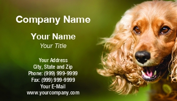 Featured Designs | Professional | Sales |--| Animal | Animal Trainer | At326991 | Dog | Domestic Animal | Mikkel Bigandt | Pet | Pet Boarding | Pet Care | Pet Food | Pet Sitter | Pet Sitting | Pet Supplies | Puppy | Shop | Suits | Template
