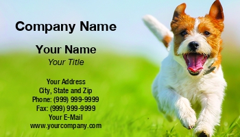 Featured Designs |--| Animal Broker | Animal Dealer | Animal Trainer | At326994 | Day Care | Dog | Dog Day Care | Dog Sitter | Dog Sitting | Dog Training | Fit | Groomer | Mikkel Bigandt | Pet | Pet Boarding | Pet Care | Pet Portrait | Pet Supplies | Pets | Trainer