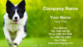 Featured Designs |--| Animal Broker | Animal Dealer | Animal Trainer | At326996 | Day Care | Dog | Dog Day Care | Dog Sitter | Dog Sitting | Dog Training | Great | Groomer | Mikkel Bigandt | Pet | Pet Boarding | Pet Care | Pet Supplies | Pets | Template | Trainer