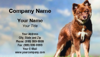 Featured Designs | Professional | Sales |--| Animal | Animal Trainer | At326997 | Dog | Domestic Animal | Mikkel Bigandt | Pet | Pet Boarding | Pet Care | Pet Food | Pet Sitter | Pet Sitting | Pet Supplies | Puppy | Shop | Suits