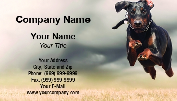 Featured Designs |--| Animal Broker | Animal Dealer | Animal Trainer | At326998 | Day Care | Dog | Dog Day Care | Dog Sitter | Dog Sitting | Dog Training | Groomer | Mikkel Bigandt | Option | Pet | Pet Boarding | Pet Care | Pet Supplies | Pets | Trainer
