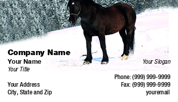 Featured Designs |--| Animal | Animal Dealer | At327568 | Course | Dealing | Equestrian | Fit | Fritz Hiersche | Horse | Horse Ride | Horse Rider | Horses | Race | Racing | Ride | Rider | Sport | Trainer | Trainers | Training | Training School