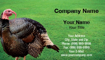 Featured Designs | Hospitality |--| Agriculture | Animal | Animal Husbandry | At329575 | Chicken | Cock | Farmer | Farming | Farms | Great | Industry | Livestock | Poultry | Poultry Farm | Template | Tim Hester