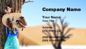 Featured Designs |--| At329863 | Avian | Bird | Bird Conservation | Bird Shop | Bird Watcher | Bird Watching | Birds | Birdwatching | Chrysolophus | Great | Maxal Tamor | Pet Birds | Sanctuary | Template