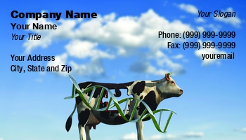 Featured Designs |--| At330130 | Beef | Bruce Rolff | Calf | Cow | Dairies And Dairy Products | Dairy | Dairy Farm | Dairy Product | Dairy Research | Farmer | Mammal | Milk | Milk Man | Milk Products | Non Vegetarian | Perfect | Researcher | Template | Veterinary