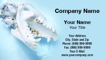 Featured Designs |--| Animal | Animal Care | At331599 | Bone | Image | Paleontologist | Sinisa Botas | Skull