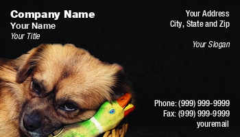 Featured Designs |--| At331606 | Dog | Image | Pet | Pet Care | Sinisa Botas | Sleeping