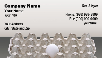 Featured Designs |--| Aleksandr Ugorenkov | At335969 | Carton | Egg | Eggs | Image | Package | Poultry