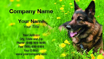 Animals | Domestic | Featured Designs |--| Aleksandr Ugorenkov | Animal | At336012 | Breed | Canino | Cute | Dog | Friends | German | German Shepherd | Mammal | Meadows | Pedigree | Pet | Portrait | Puppy | Purebred | Safety | Shepherd | Sitting