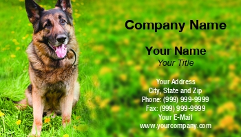Animals | Domestic | Featured Designs |--| Aleksandr Ugorenkov | Animal | At336013 | Breed | Canino | Card | Cute | Dog | Friends | German Shepherd | Great | Mammal | Pedigree | Pet | Portrait | Puppy | Purebred | Safety | Shepherd | Shops | Sitting