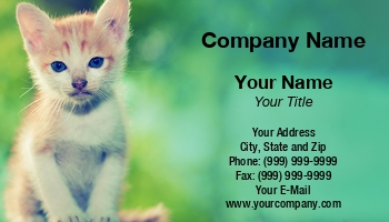 Featured Designs | Hospitality |--| Adorable | Animal Registration | Animal Trainer | At336088 | Bobbin | Card | Cat | Cats | Companion | Curiosity | Curious | Feline | Guard | Healthy | Ideal | Kittens | Mammal | Pet | Petcare | Photography | Prakasit Khuansuwan | Sitter | Supplier